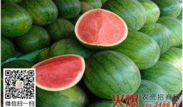 春季吃瓜的禁忌,健康饮食的注意事项