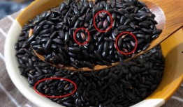 黑料不打料入口,探寻网络世界的真实与虚假