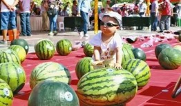 最大的吃瓜网站,最大吃瓜网站独家爆料，明星幕后故事大公开！