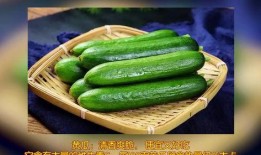 夏天可以吃瓜季吗,夏日瓜果飘香季